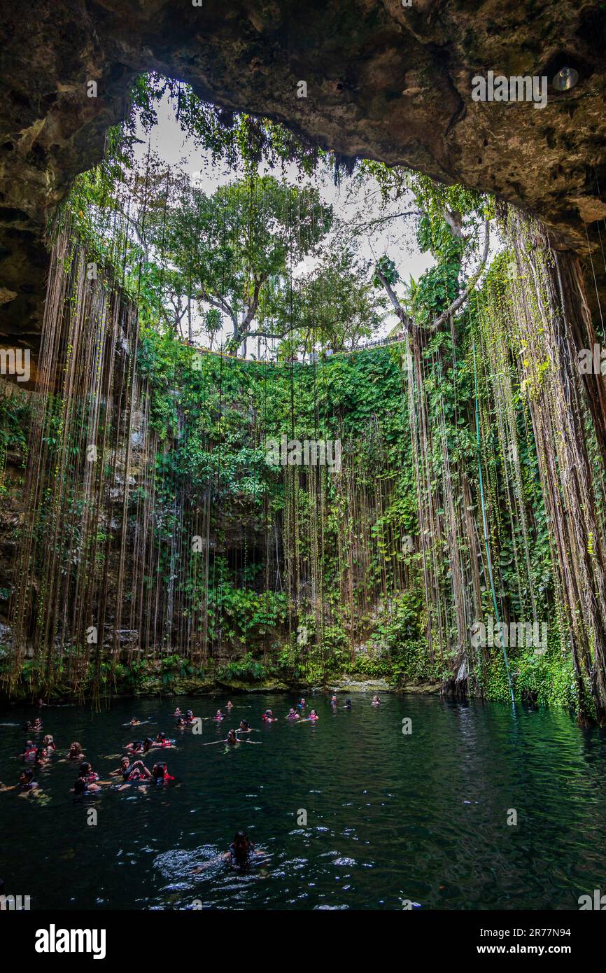 Vue depuis le cénote IK Kil, près de Chichen Itza Banque D'Images Vue depuis le cénote IK Kil, près de Chichen Itza Banque D'Images