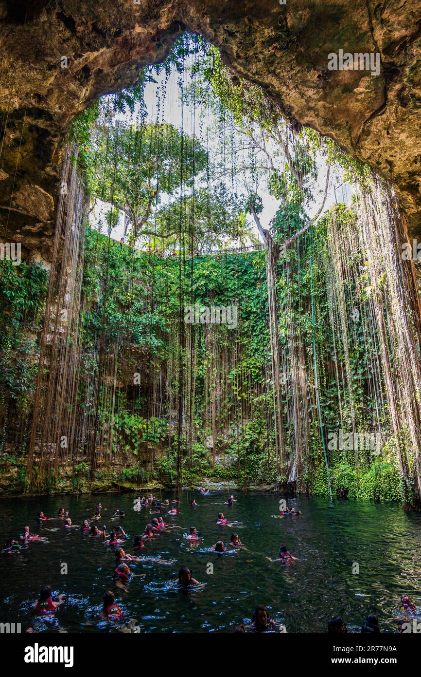 Vue depuis le cénote IK Kil, près de Chichen Itza Banque D'Images Vue depuis le cénote IK Kil, près de Chichen Itza Banque D'Images