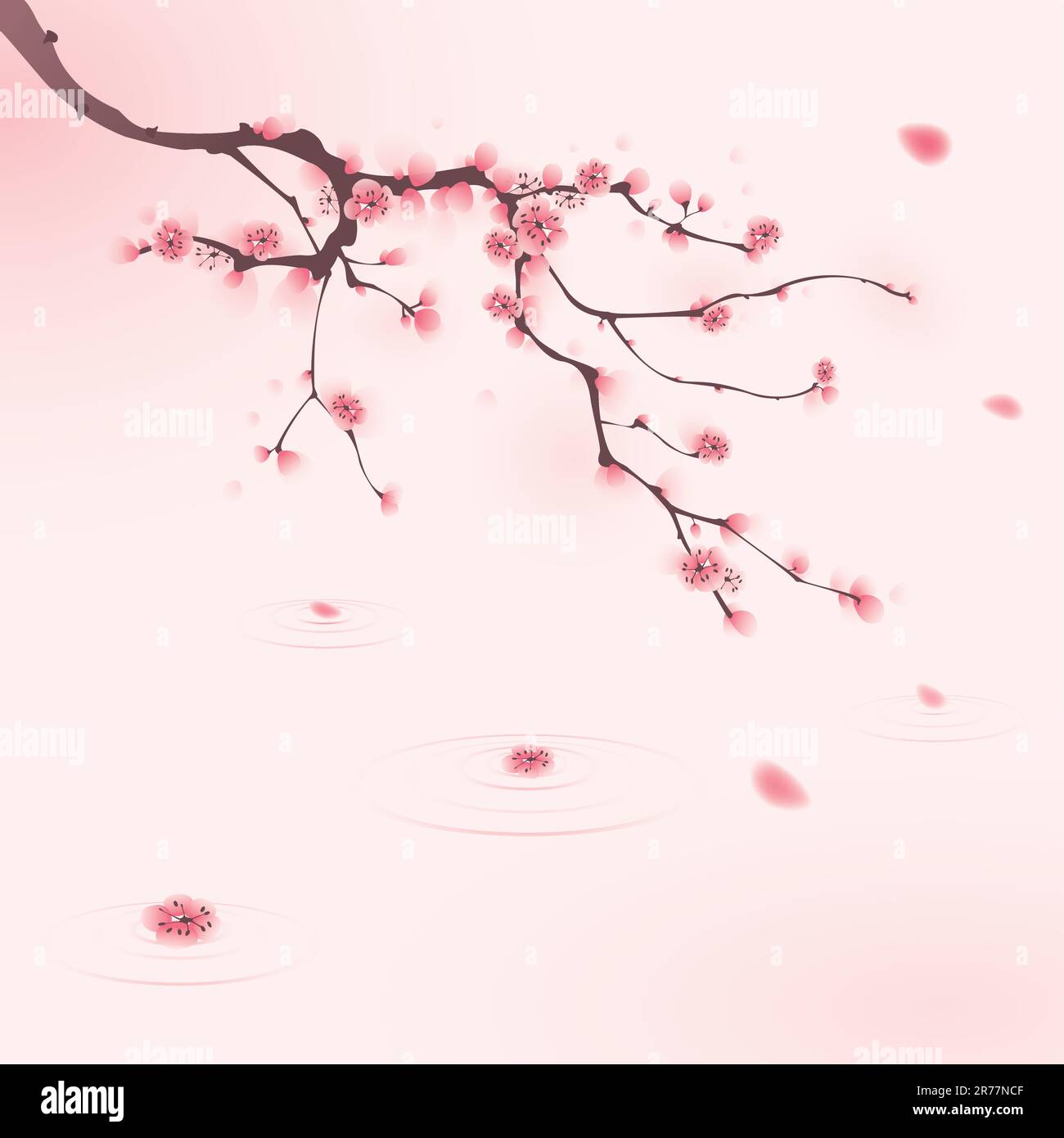 Fleurs de cerisier au-dessus de l'eau. Pinceau vectorisé. Illustration de Vecteur