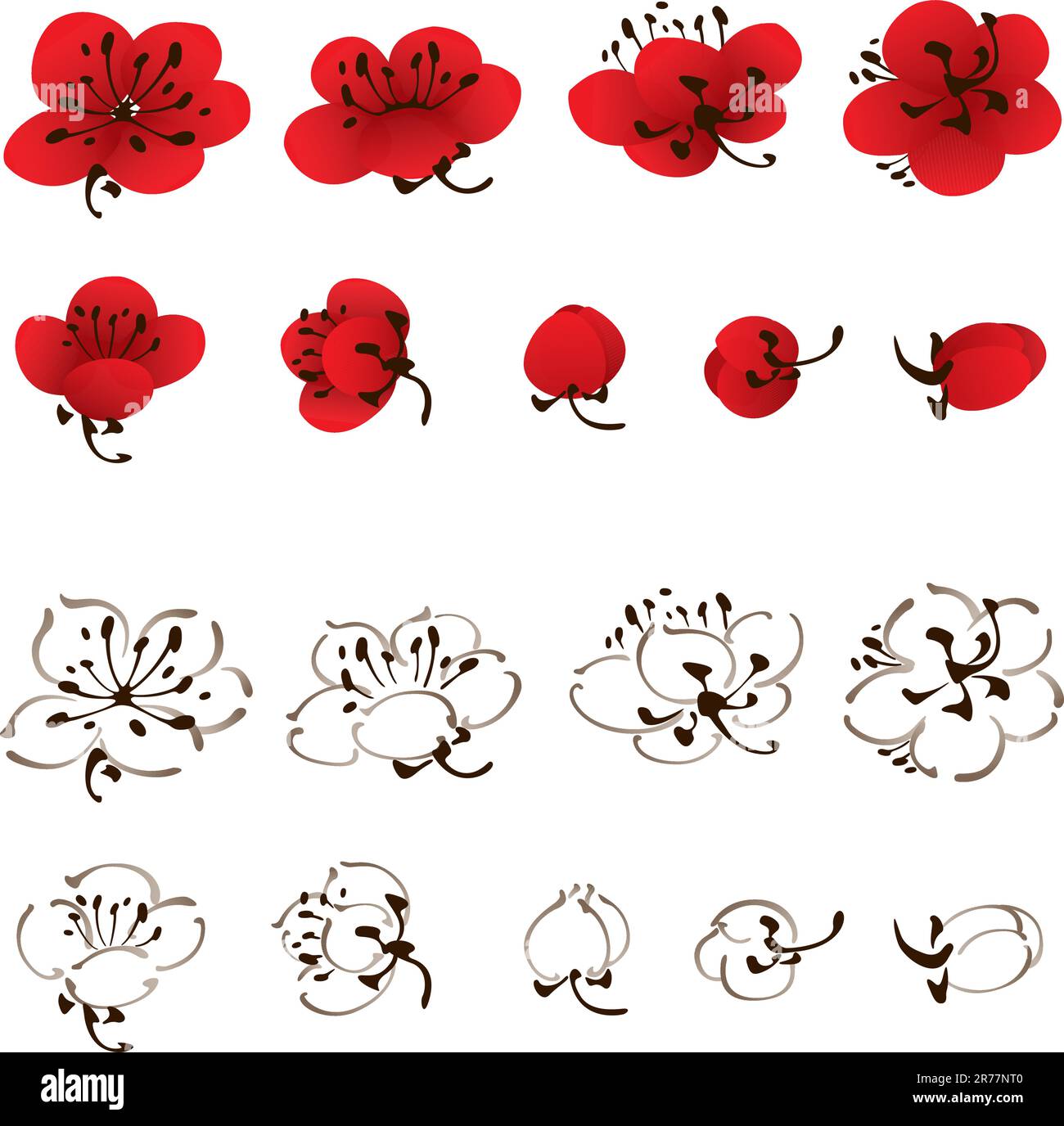 Variété de fleurs de prunier de style oriental en rouge et blanc (contour), peinture au pinceau vectorisée. Illustration de Vecteur