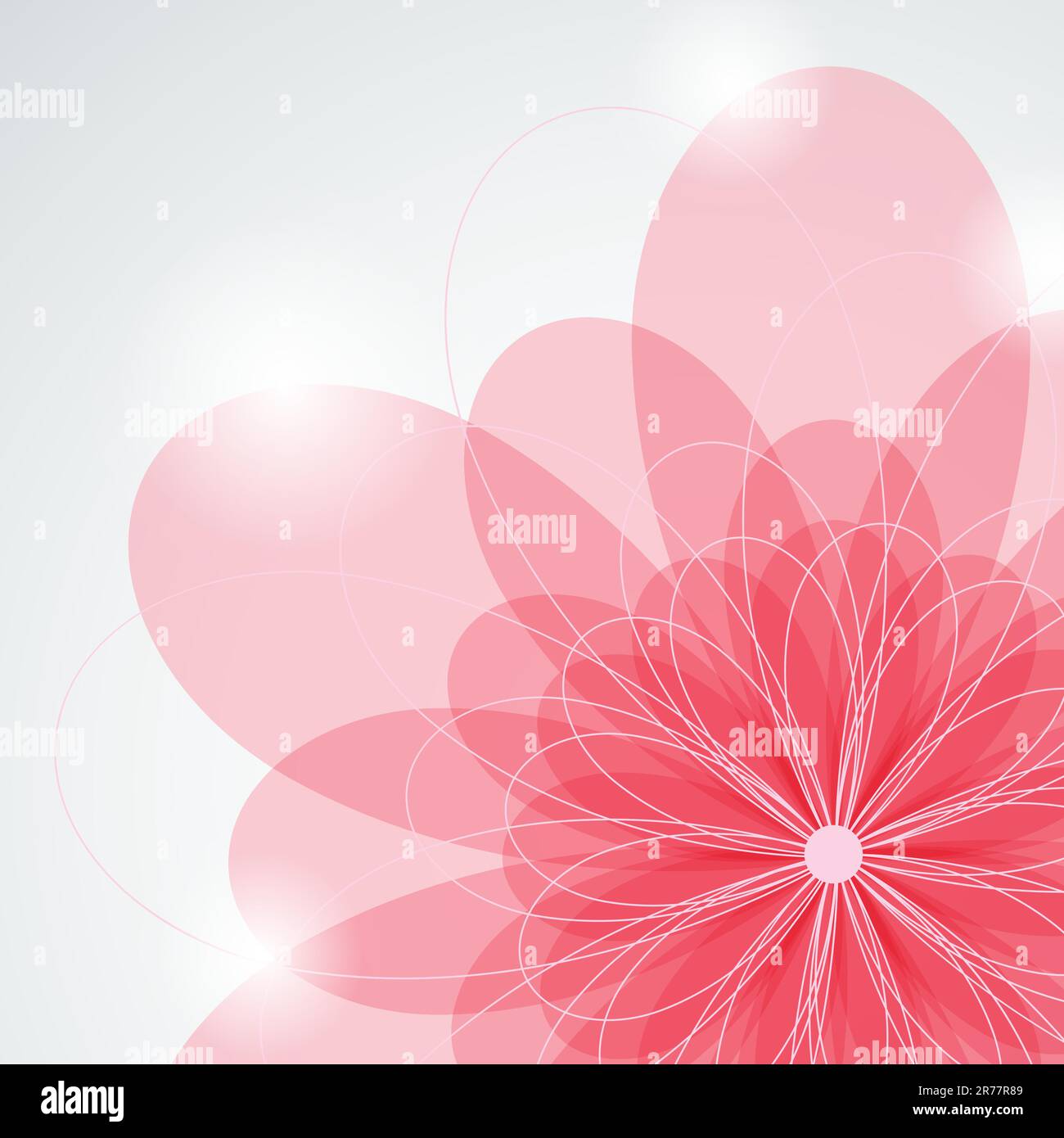 Image vectorielle avec fleur rose Illustration de Vecteur
