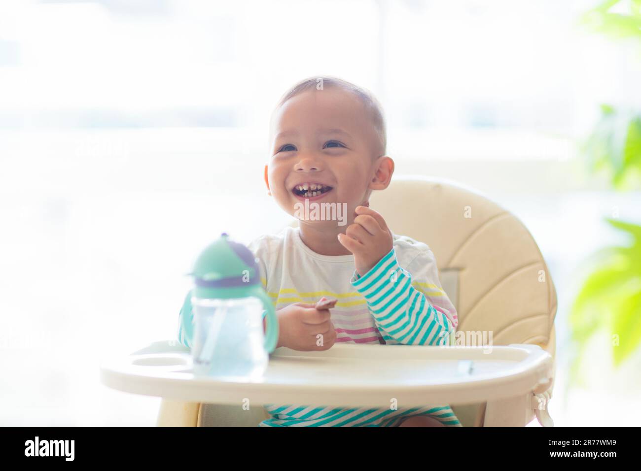 Bébé mangeant en chaise haute. Petit garçon asiatique avec boisson et déjeuner. Sevrage des nourrissons et introduction d'aliments solides. Enfant dans la cuisine blanche ensoleillée. Banque D'Images