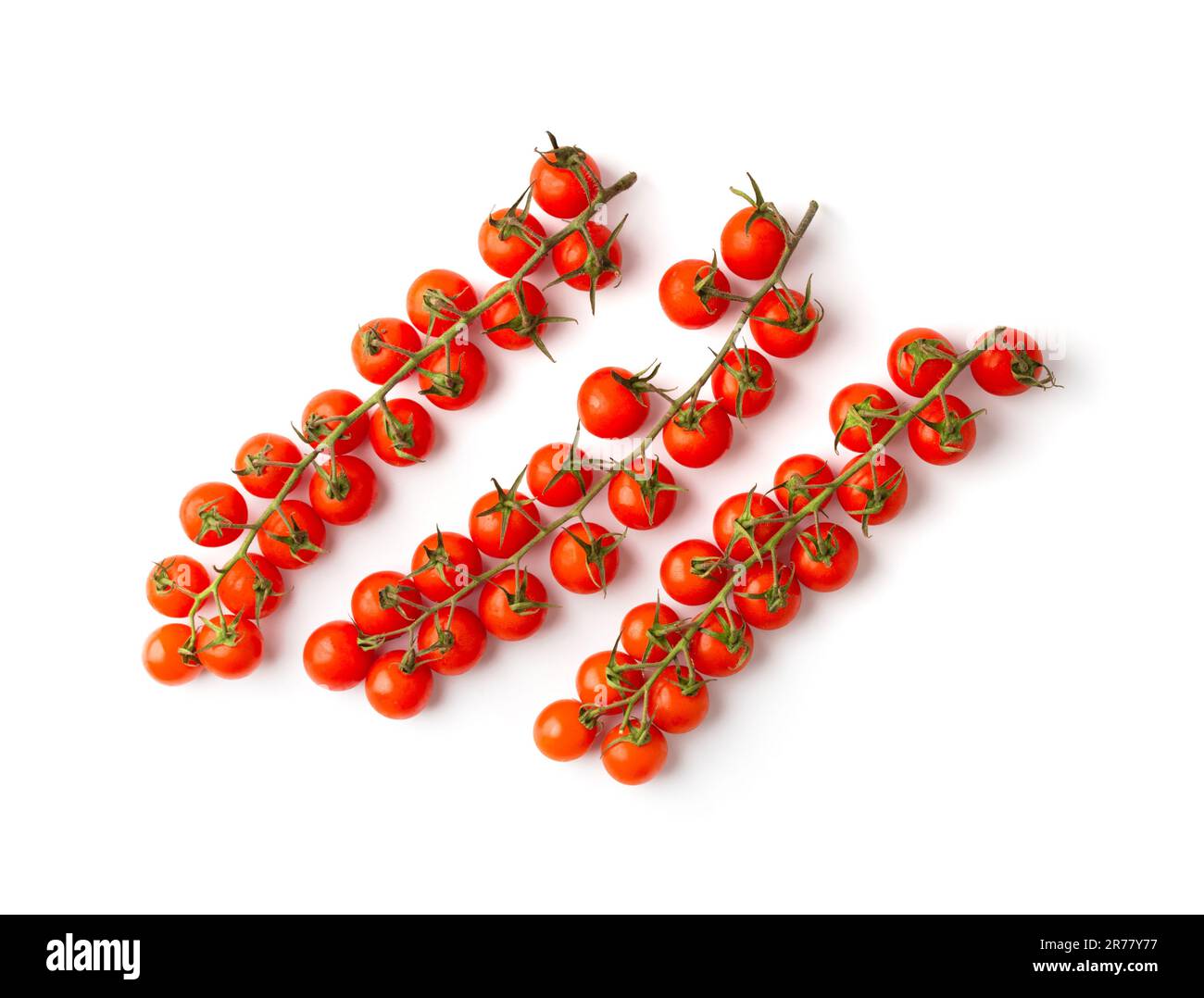 Belles longues branches de tomates cerises mûres fraîches sur fond blanc vue de dessus. Légumes biologiques. Tomates cerises isolées. Banque D'Images