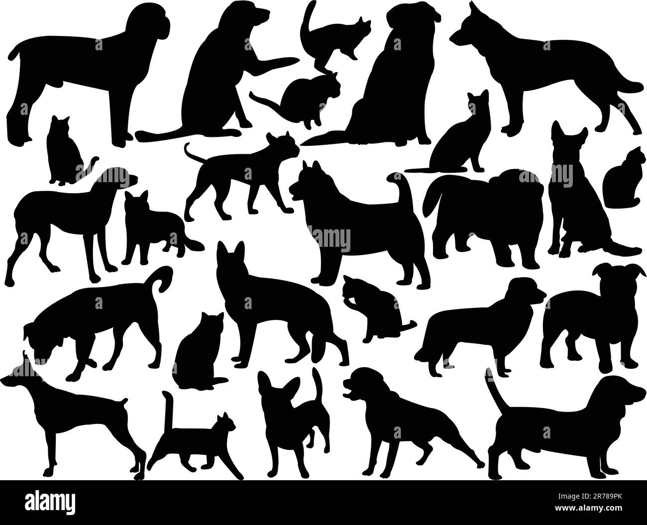 chats et chiens - vecteur Illustration de Vecteur