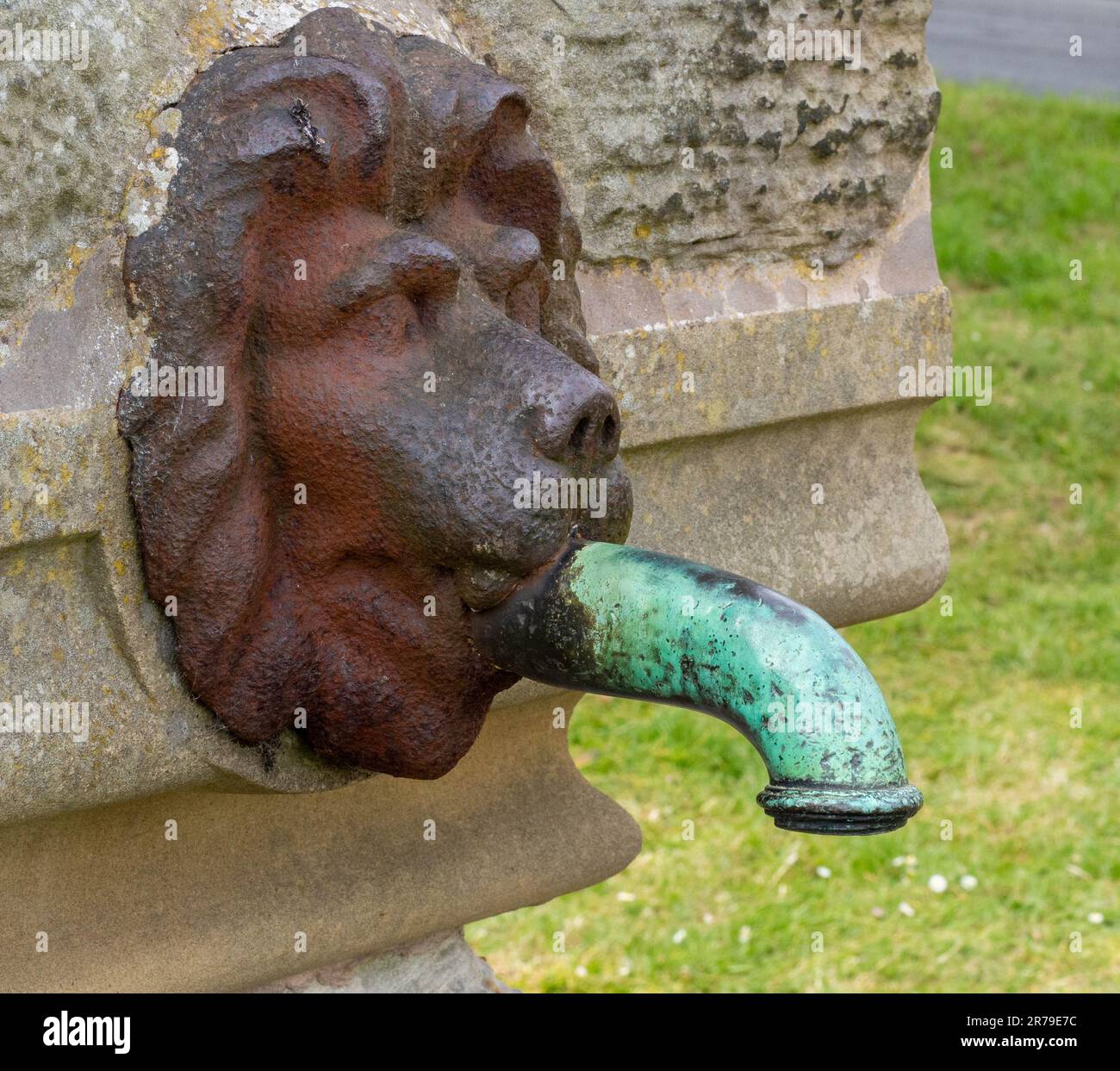 Les Lions dirigent le bec d'eau sur une fontaine historique à Bamburgh Village, Northumberland, Royaume-Uni Banque D'Images