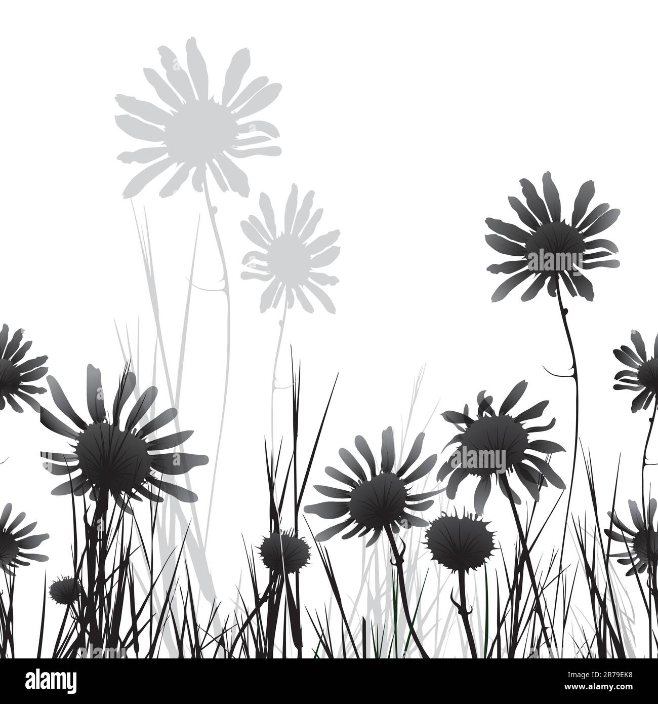 Fleurs camomille sans couture sur le fond. Illustration vectorielle. EPS10 Illustration de Vecteur