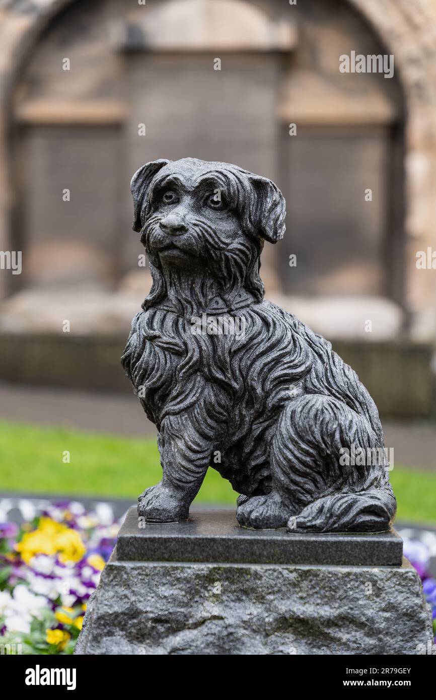 La statue de Bobby des Greyfriars à Édimbourg, en Écosse, au Royaume-Uni. Sculpture de bronze à un chien fidèle qui passe de longues années à la tombe de son propriétaire, ne laissant qu'à o Banque D'Images