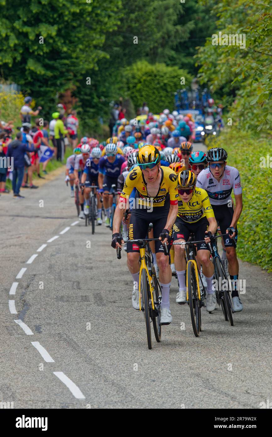 PINET, FRANCE, 12 juin 2023 : Peloton et équipe de maillots jaunes du Critérium du Dauphiné, une course cycliste sur huit jours et un des contremaîtres Banque D'Images