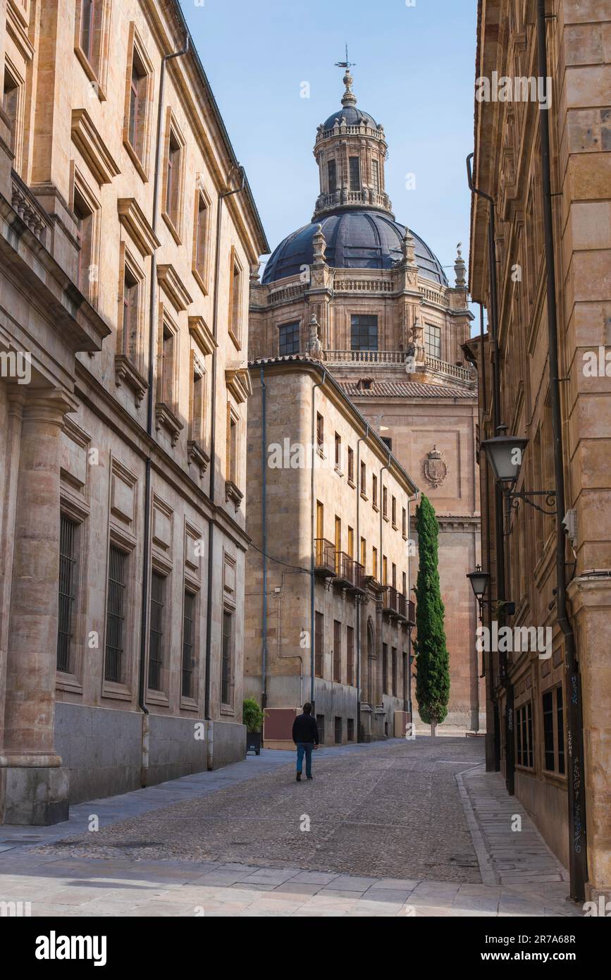 Université de Salamanque, vue sur la Calle Libreros dans le quartier universitaire historique de Salamanque, au centre de l'Espagne. Banque D'Images