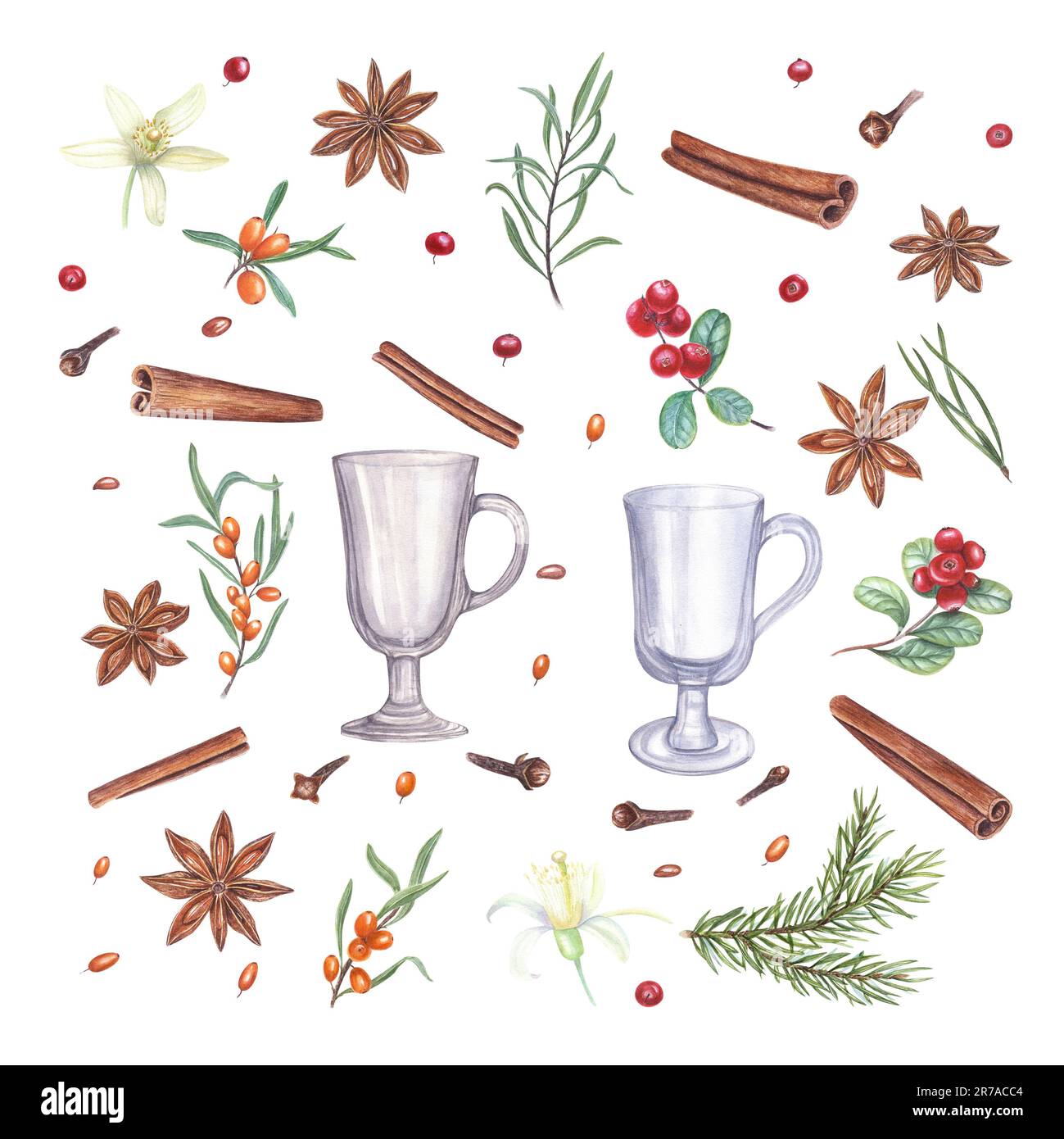 Ensemble de Noël épices, baies, branche d'épinette, vielles de verre à vin chaud isolées sur blanc. Illustration aquarelle de cannelle, d'anis étoilé, de clous de girofle Banque D'Images