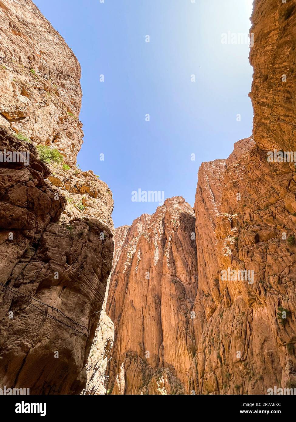 Maroc, Gorges de Todra Banque D'Images