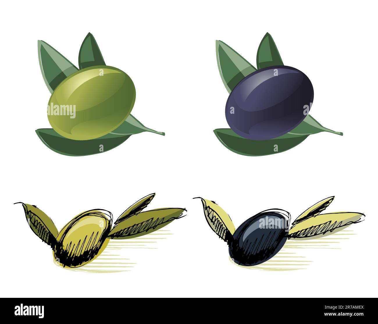 Illustration vectorielle - olives vertes et noires Illustration de Vecteur