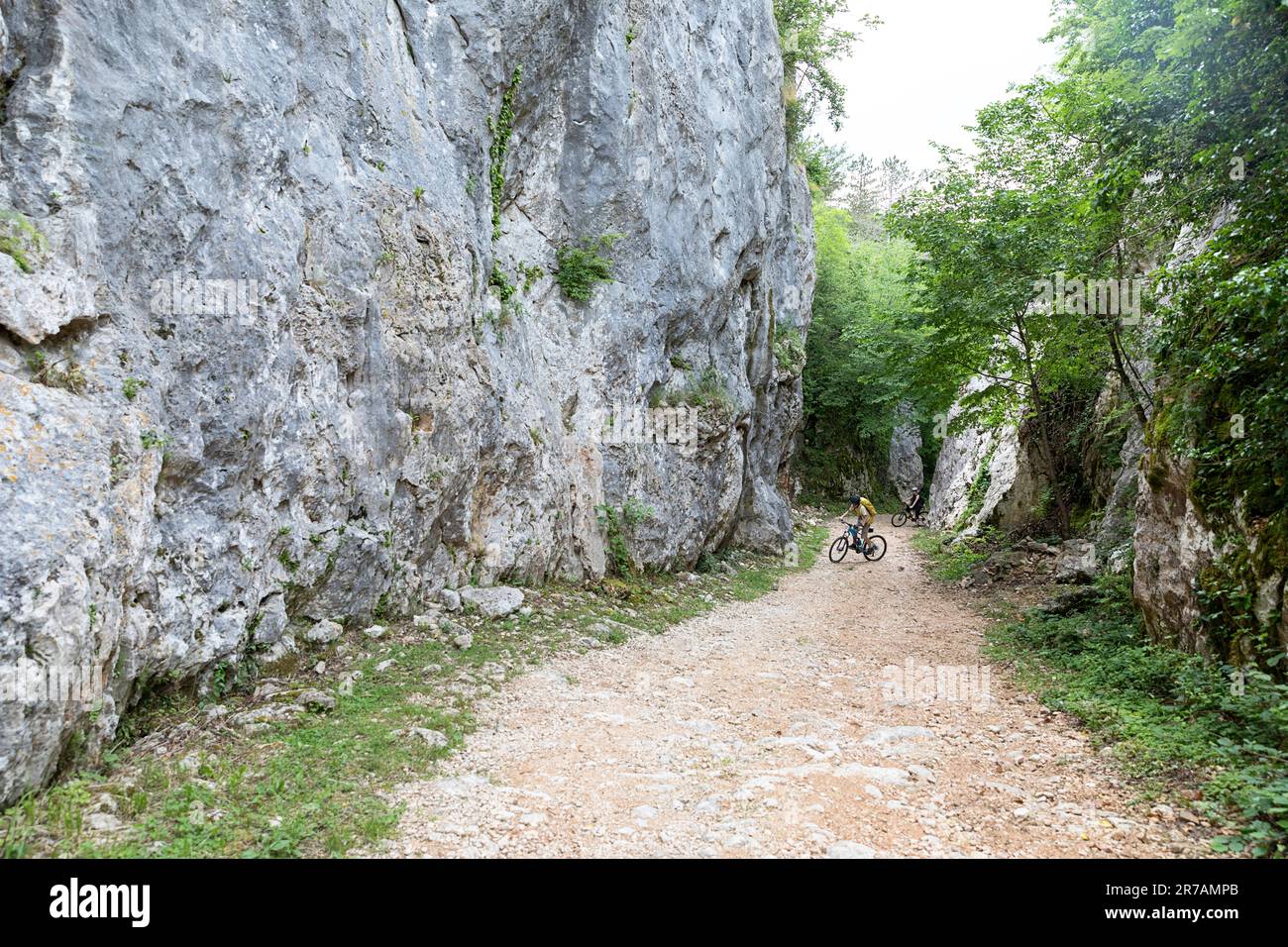 Touriste, un garçon cycliste sur un vélo de montagne, sur un vieux sentier entre mur rocheux près du village de Cepic près de Buzet dans la péninsule d'Istrie, Croatie Banque D'Images