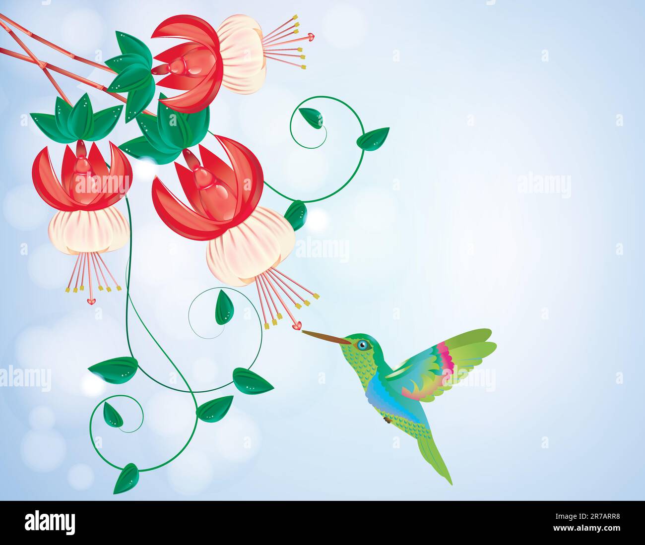 Hummingbird obtenant le nectar d'une fleur, sur un fond bleu Illustration de Vecteur