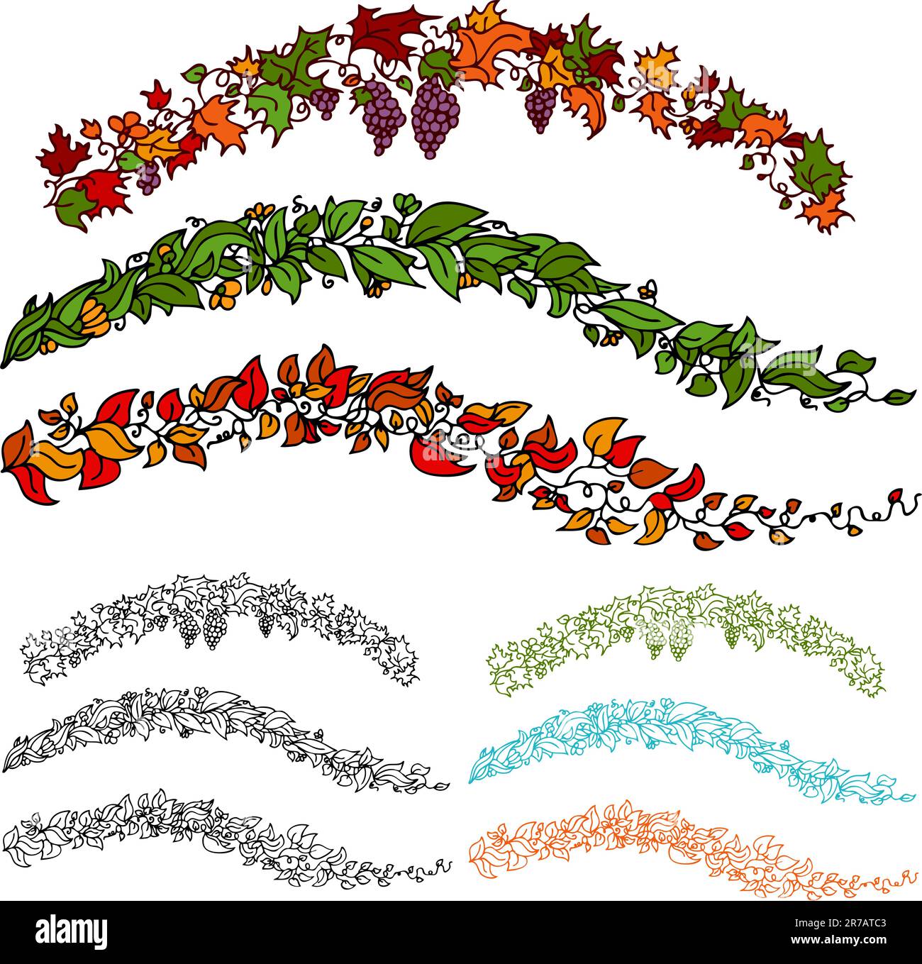 L'image d'un ensemble de feuilles de vigne fleur d'automne. Illustration de Vecteur