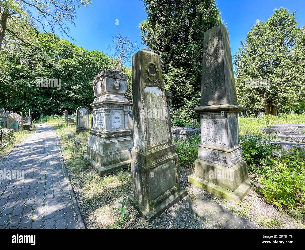 Pologne, Varsovie, cimetière juif Banque D'Images