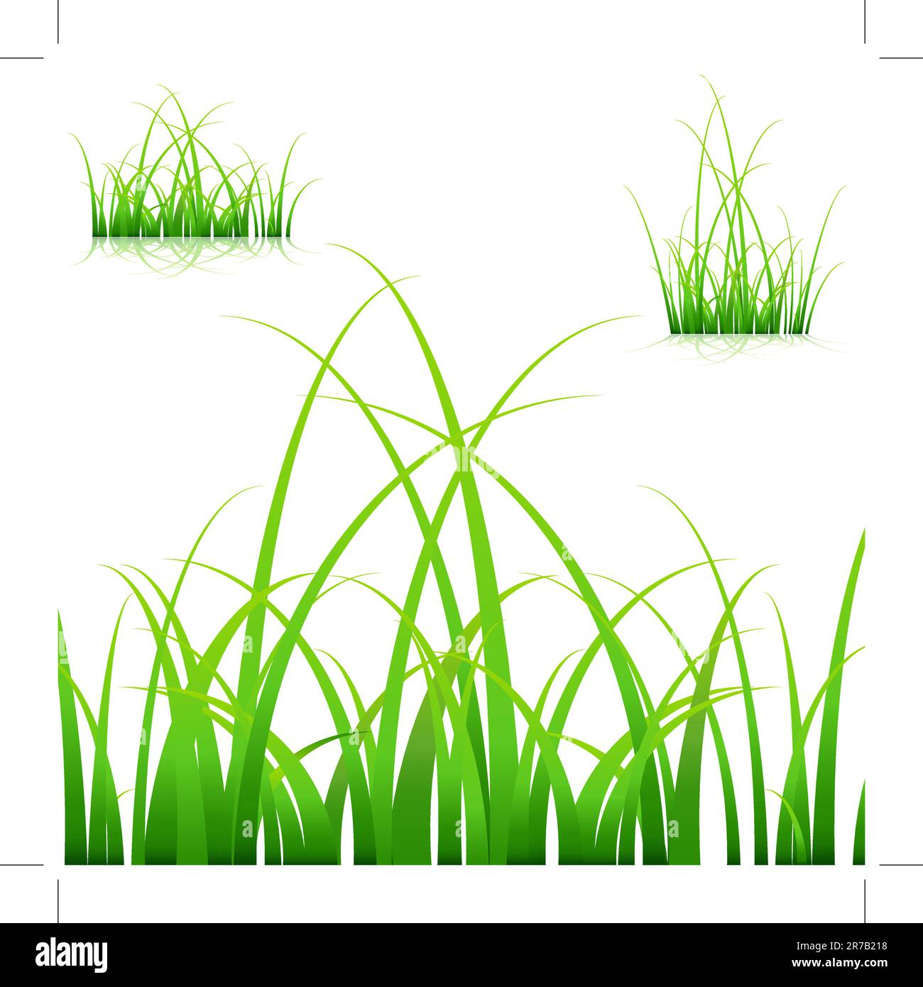 L'image d'un ensemble de brins d'herbe sur fond blanc. Illustration de Vecteur