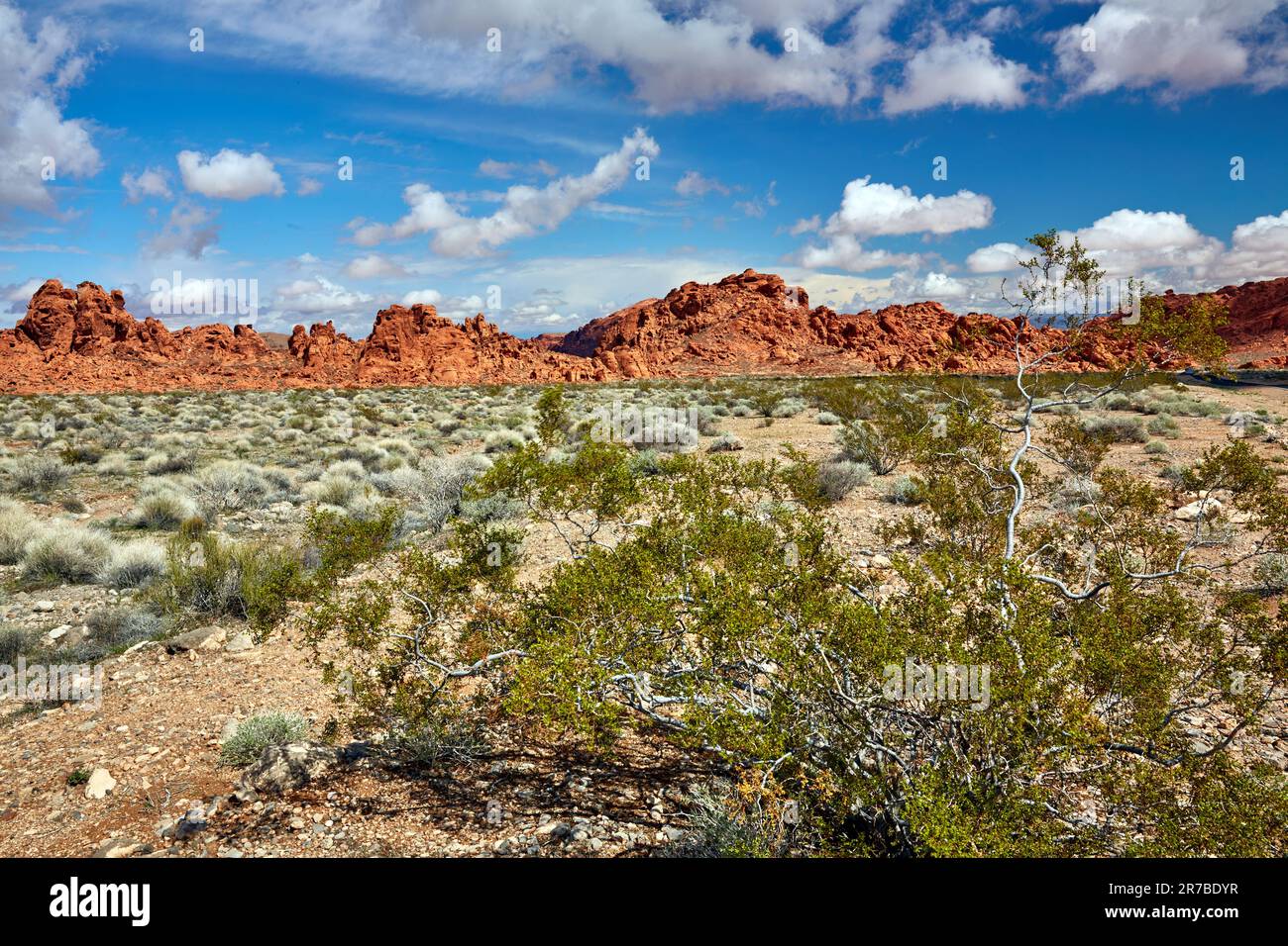 Parc national de la Vallée de feu Comté de Clark Nevada Banque D'Images
