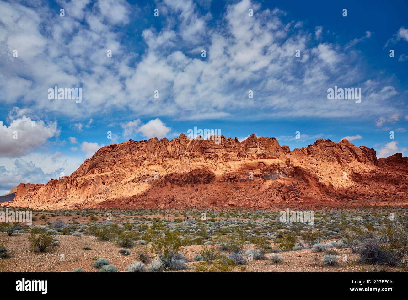 Parc national de la Vallée de feu Comté de Clark Nevada Banque D'Images