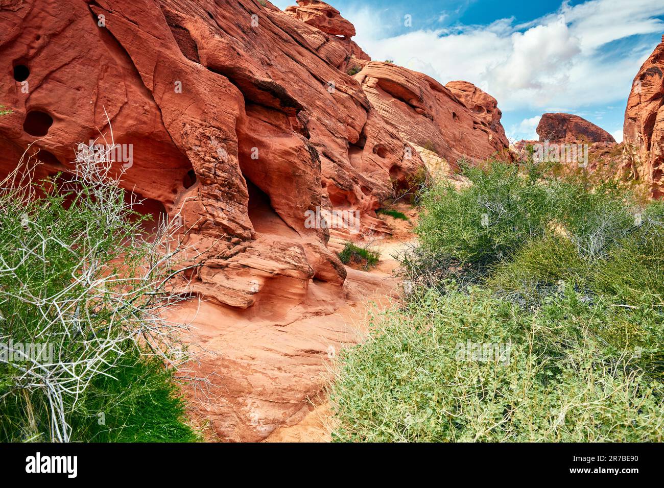 Parc national de la Vallée de feu Comté de Clark Nevada Banque D'Images