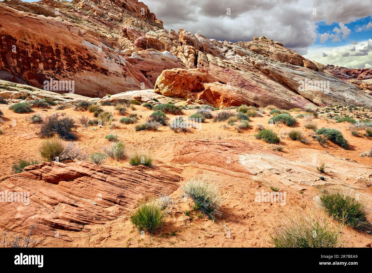 Parc national de la Vallée de feu Comté de Clark Nevada Banque D'Images
