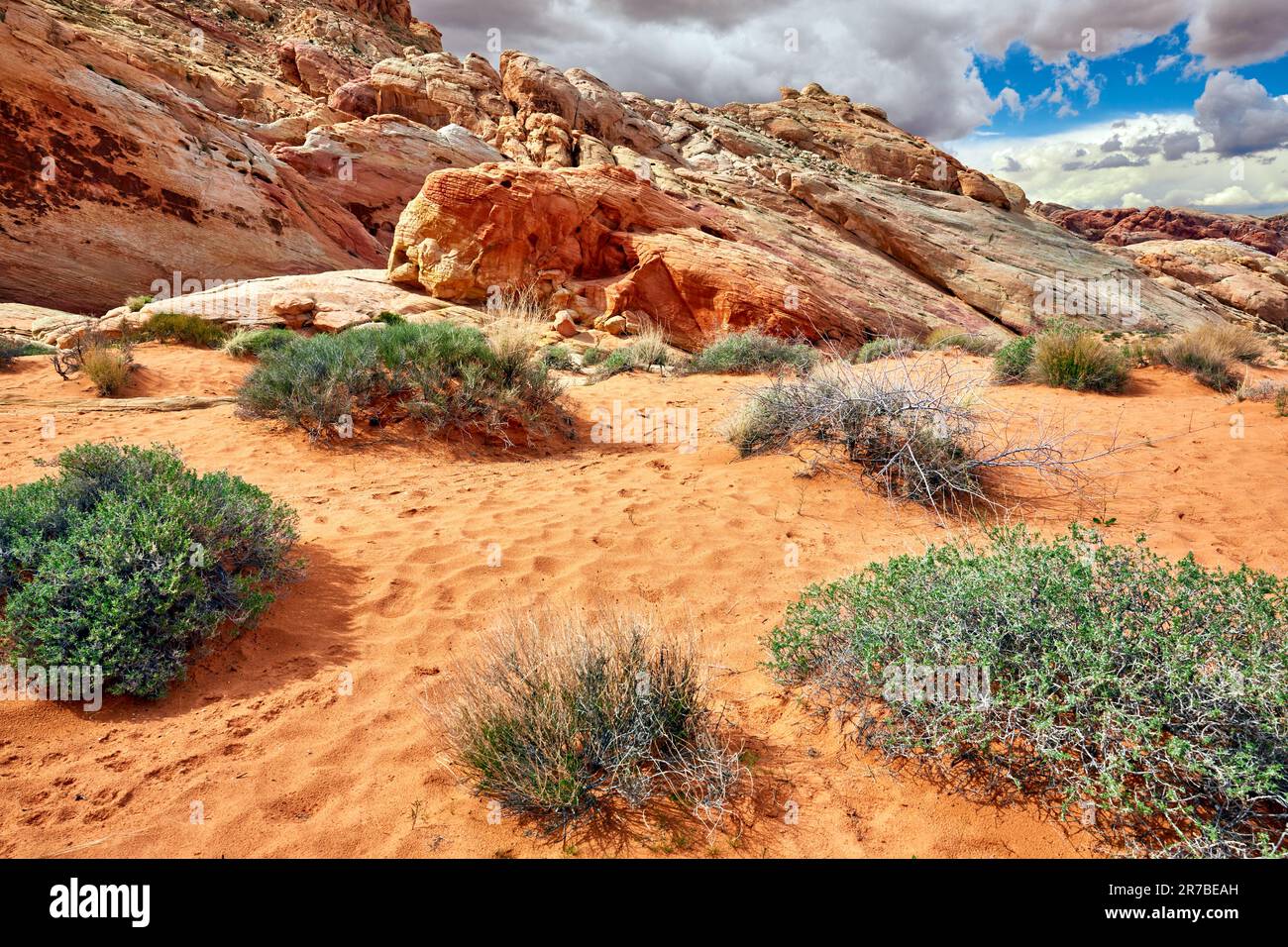 Parc national de la Vallée de feu Comté de Clark Nevada Banque D'Images