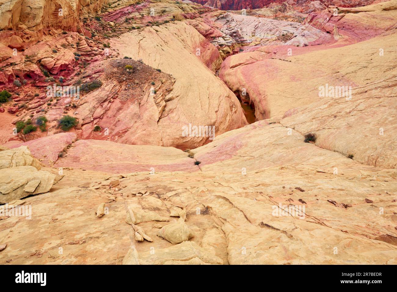 Parc national de la Vallée de feu Comté de Clark Nevada Banque D'Images