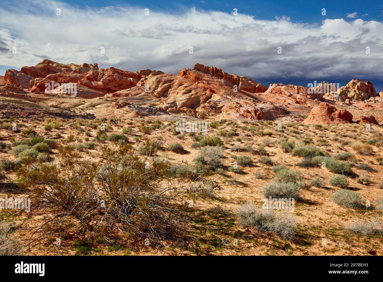 Parc national de la Vallée de feu Comté de Clark Nevada Banque D'Images