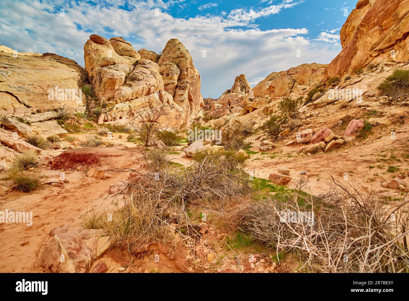 Parc national de la Vallée de feu Comté de Clark Nevada Banque D'Images