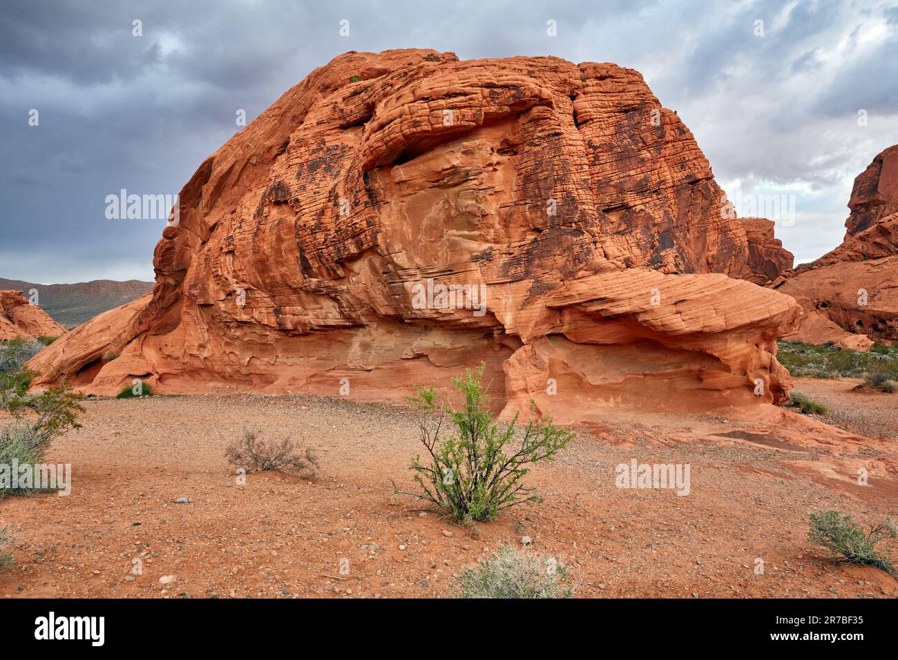 Parc national de la Vallée de feu Comté de Clark Nevada Banque D'Images