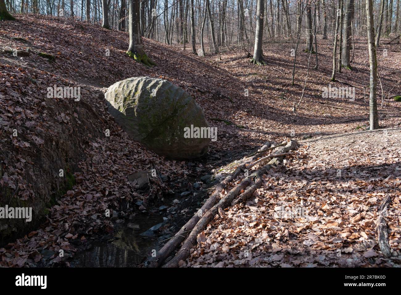 Boule de pierre dans la forêt de Slatina près de Banja Luka Banque D'Images