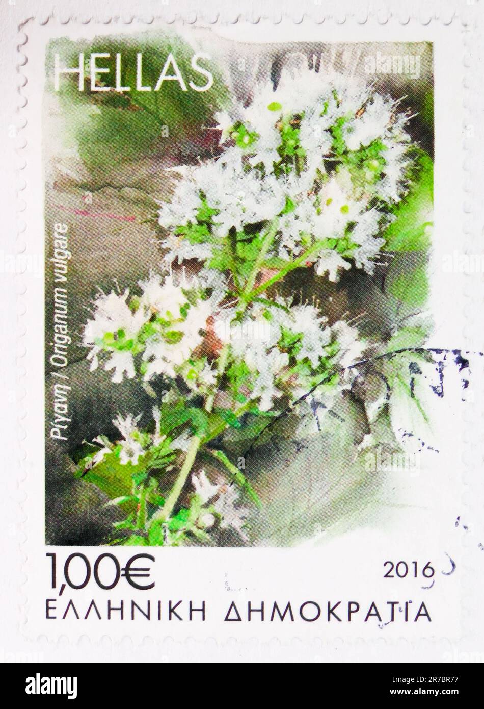 MOSCOU, RUSSIE - JUIN 8 2023: Timbre-poste imprimé en Grèce montre Origanum vulgare, Blooming herbes de Grèce série, vers 2016 Banque D'Images