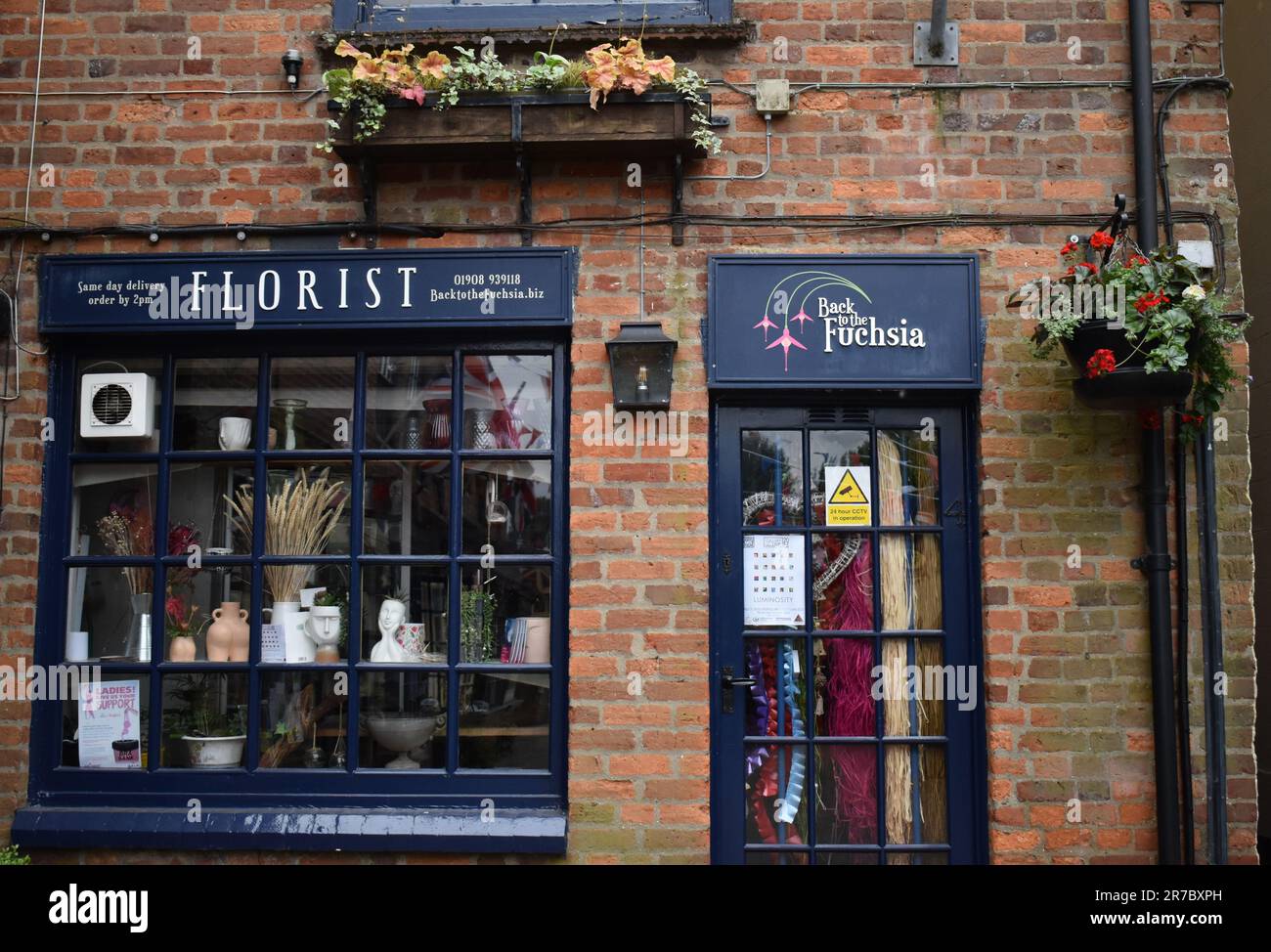 Un nom de boutique amusant: Un fleuriste - Retour à la Fuchsia, un pun sur le titre de film "Retour à l'avenir". Banque D'Images