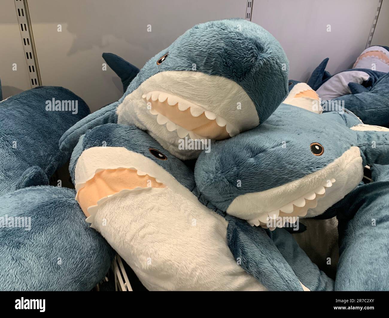 Un magasin plein de requins animaux farcis bleus et blancs Banque D'Images