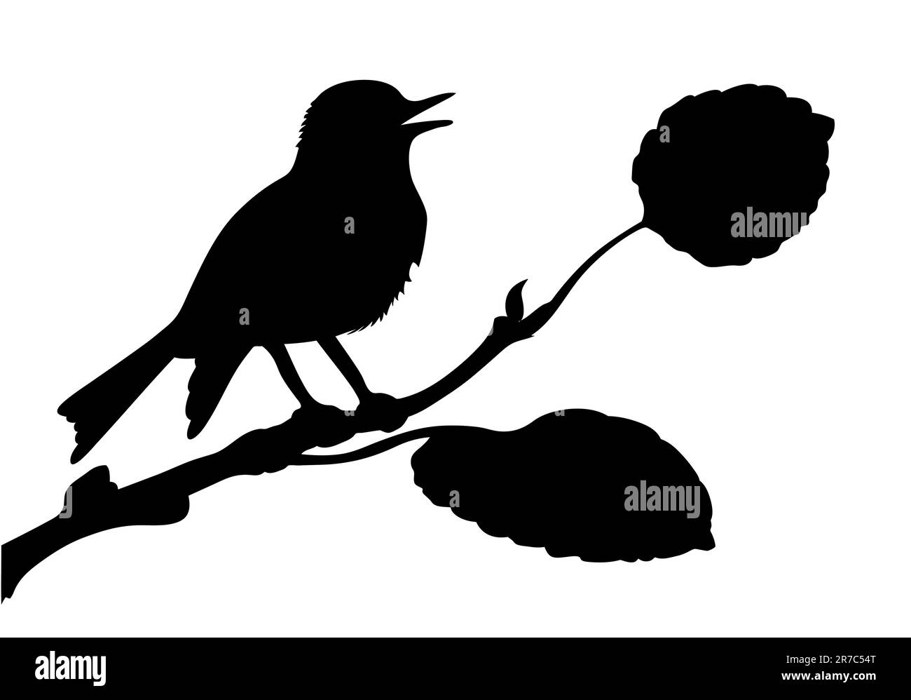 Vector silhouette de l'oiseau sur la branche Illustration de Vecteur Vector silhouette de l'oiseau sur la branche Illustration de Vecteur