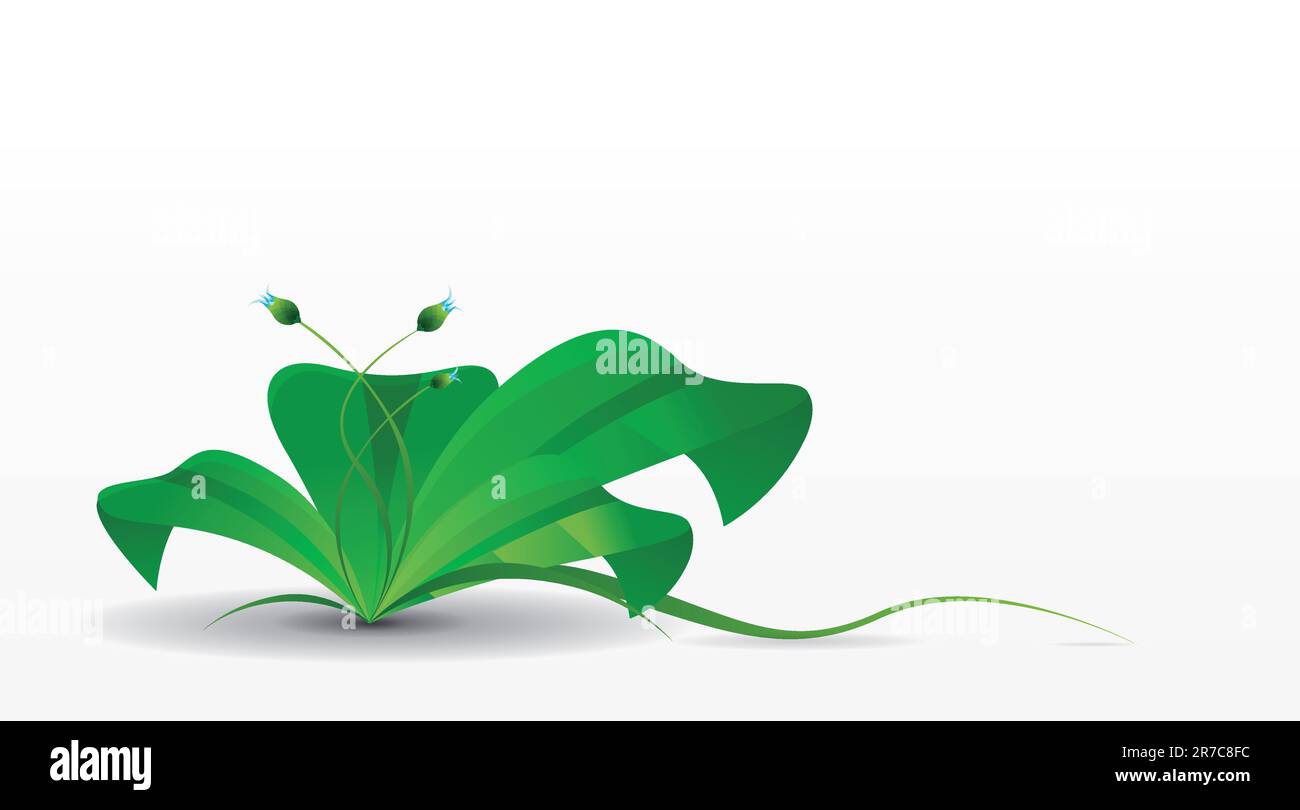 fleur verte Illustration de Vecteur