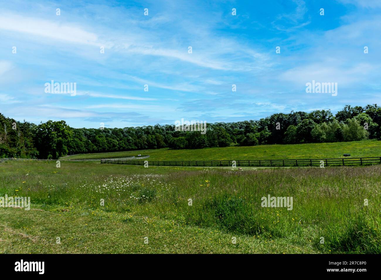 St Catherine's Park, un parc de 220 hectares composé de terres boisées et de prairies qui chevauche Dublin et Kildare. La rivière Liffey traverse ici. Banque D'Images