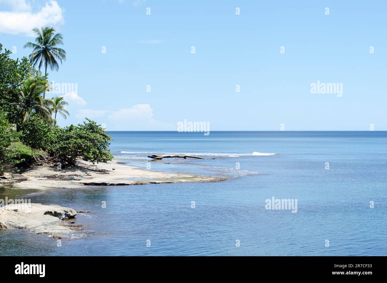 Paysage typique du Colon Costa Arriba sur la côte caraïbe du Panama Banque D'Images