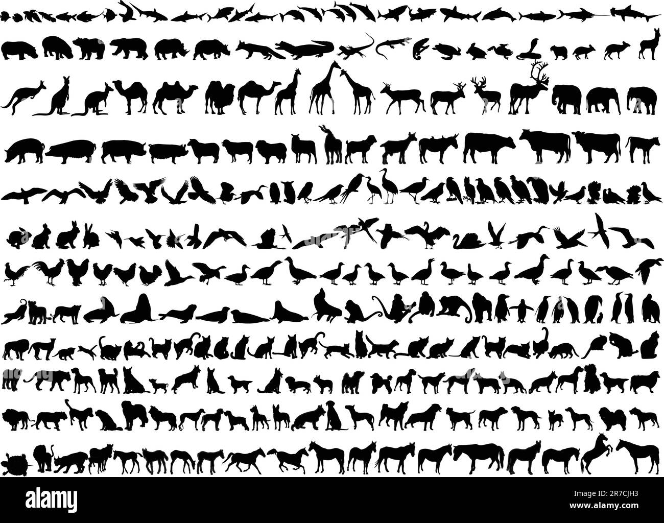 illustration de différents animaux - vecteur Illustration de Vecteur