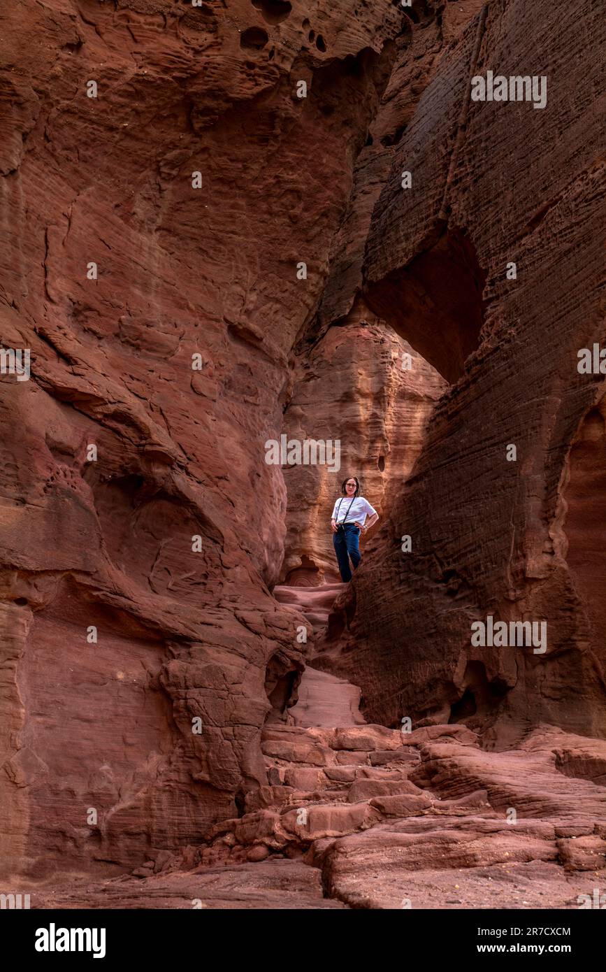 RUTH ORATZ MD LES PILIERS DE SALOMON TIMNA PARK TIMNA NEGEV ISRAËL Banque D'Images