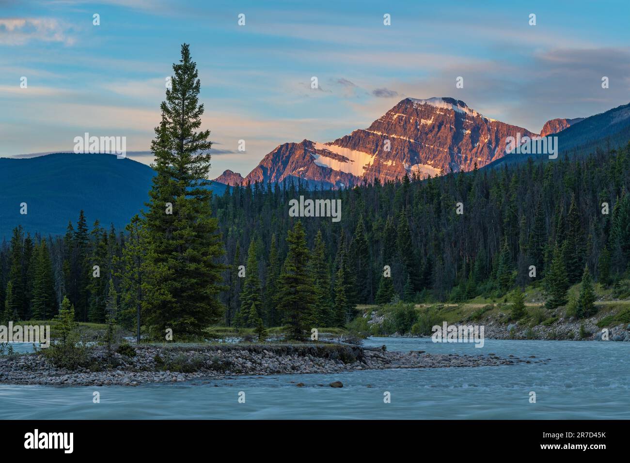 Mont Edith Cavell au lever du soleil près de la rivière Athabasca, parc national Jasper, Canada. Banque D'Images
