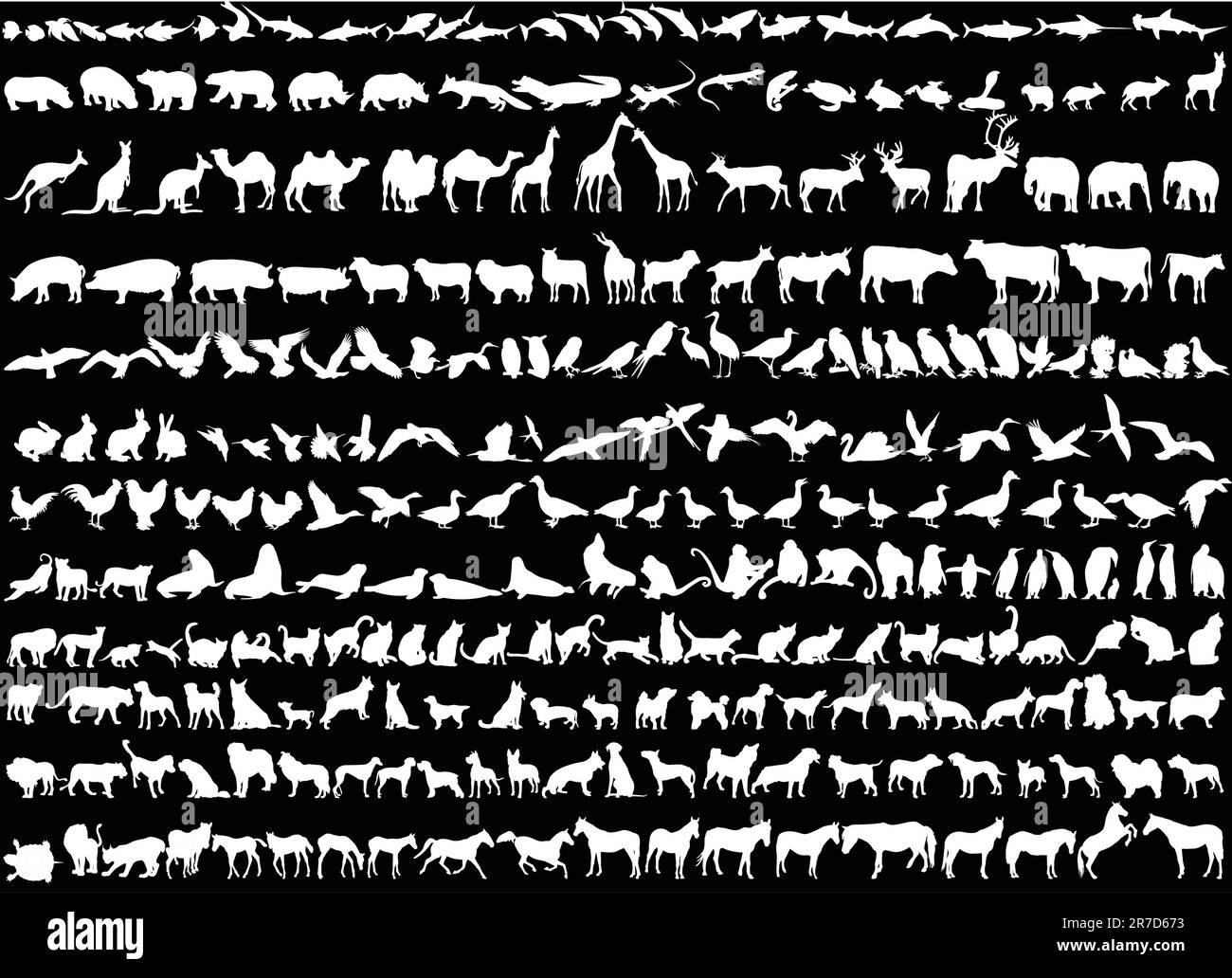 illustration de différents animaux - vecteur Illustration de Vecteur