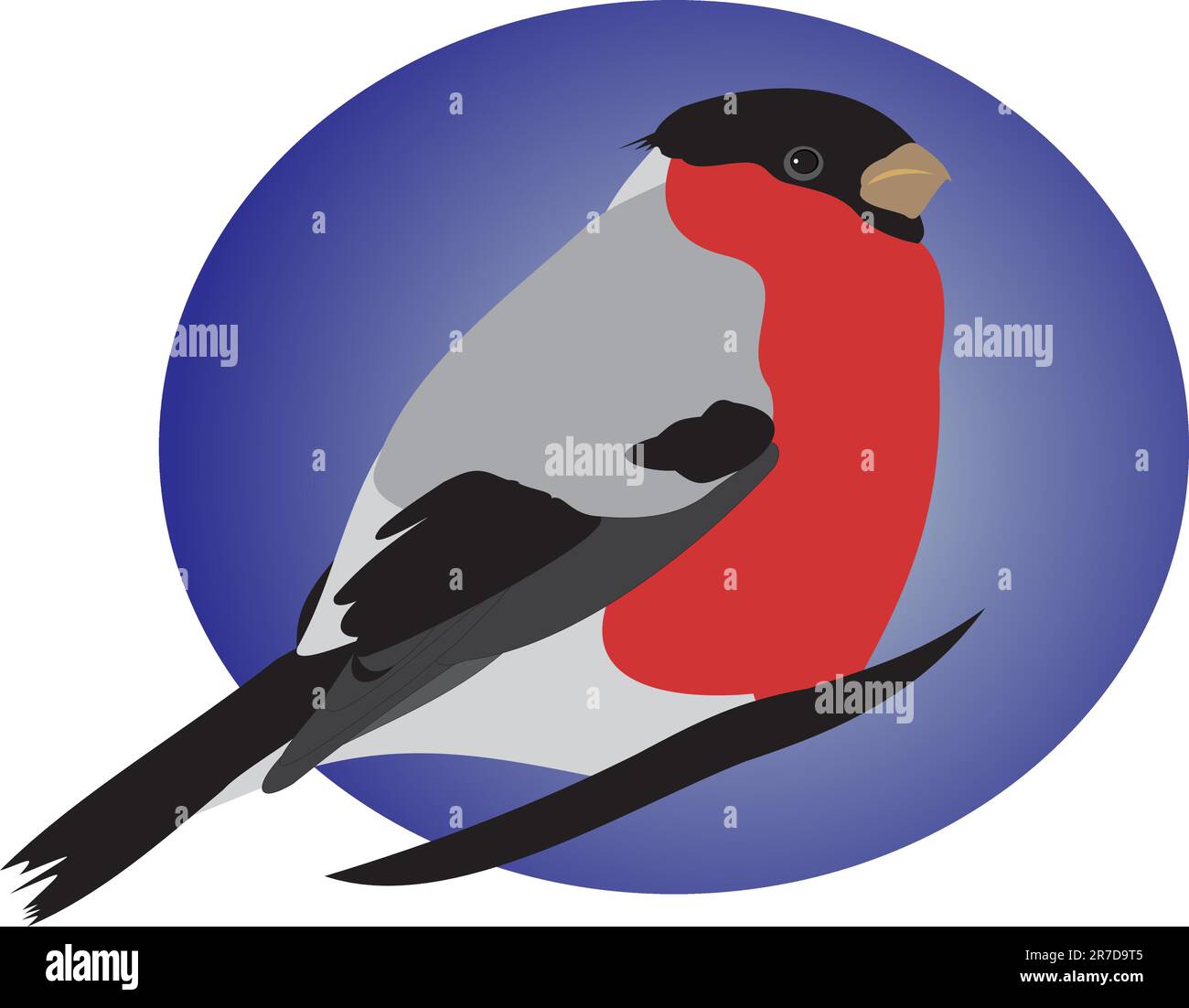 Magnifique bullfinch. Un oiseau d'hiver. Le bullfinch se trouve sur une branche Illustration de Vecteur