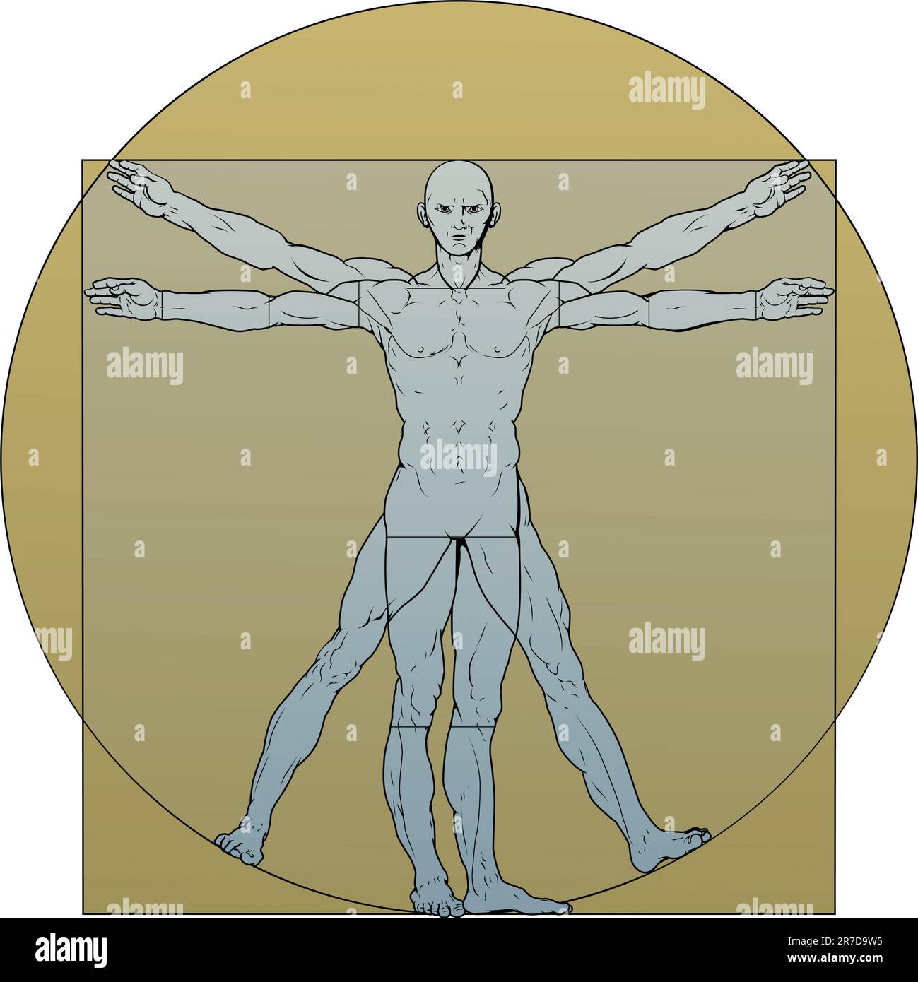 Illustration basée sur Leonardo da Vinci's classic homme de Vitruve Illustration de Vecteur