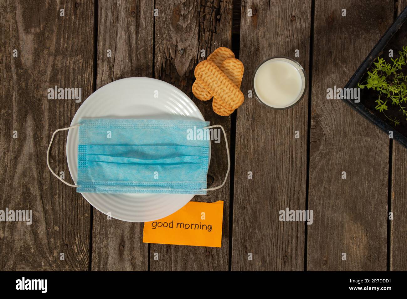le masque médical se trouve sur une assiette blanche avec du lait et des biscuits sur la table et à côté des mots bonjour Banque D'Images