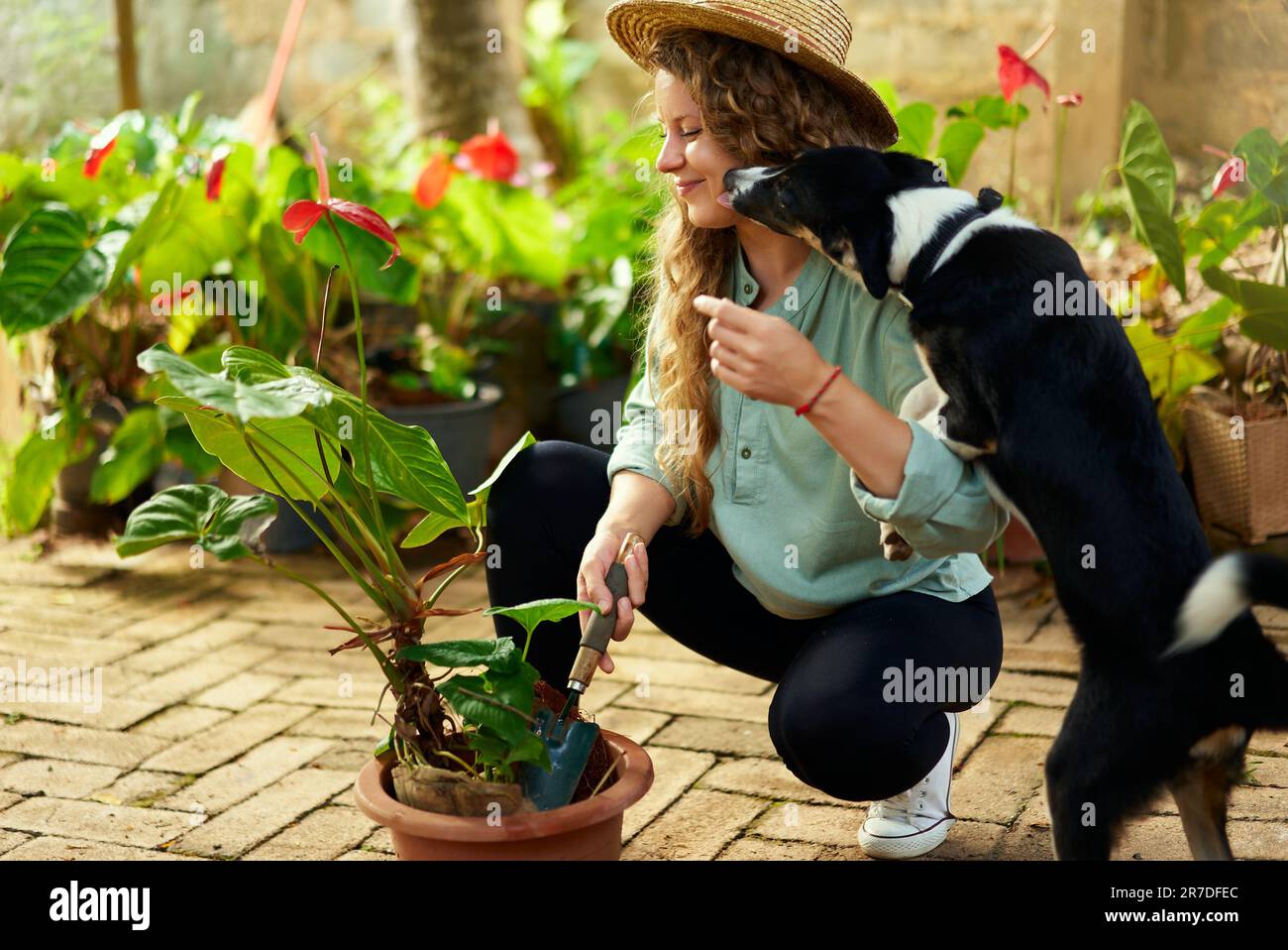 Jeune femme heureuse se câliner et jouer avec le chien. Jardinier caucasien portant chapeau de paille plantant des fleurs et prenant soin des plantes en pot avec Banque D'Images