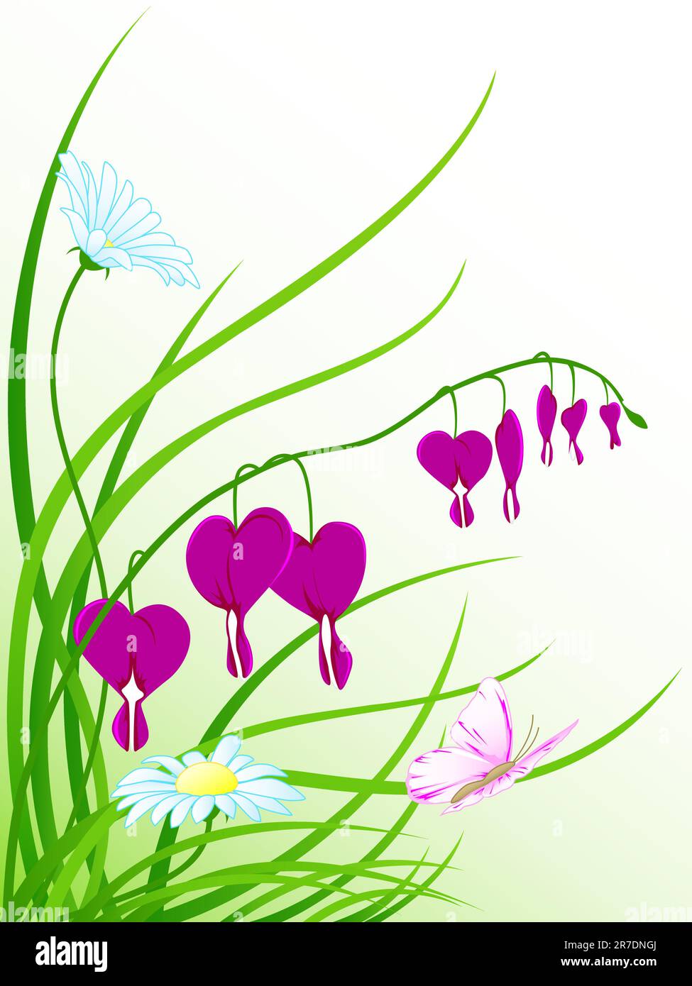 fond floral avec herbe verte, fleurs de camomille et papillon volant Illustration de Vecteur
