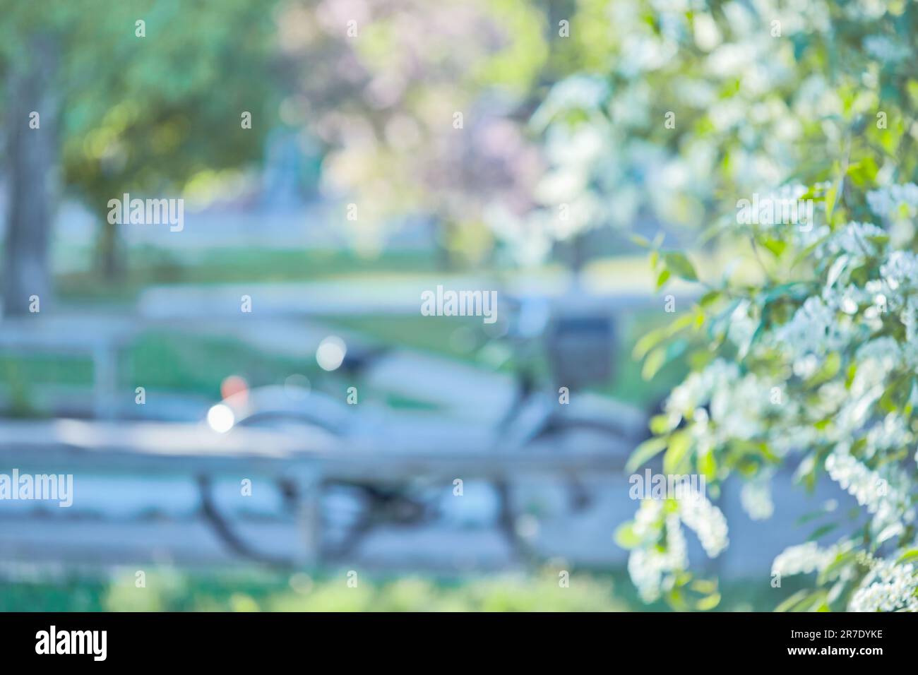 Image floue vélo dans le parc. Parking extérieur flou pour les vélos dans un endroit officiel et soleil chaud. Flou de vélo et arrière-plan abstrait.Résumé b Banque D'Images