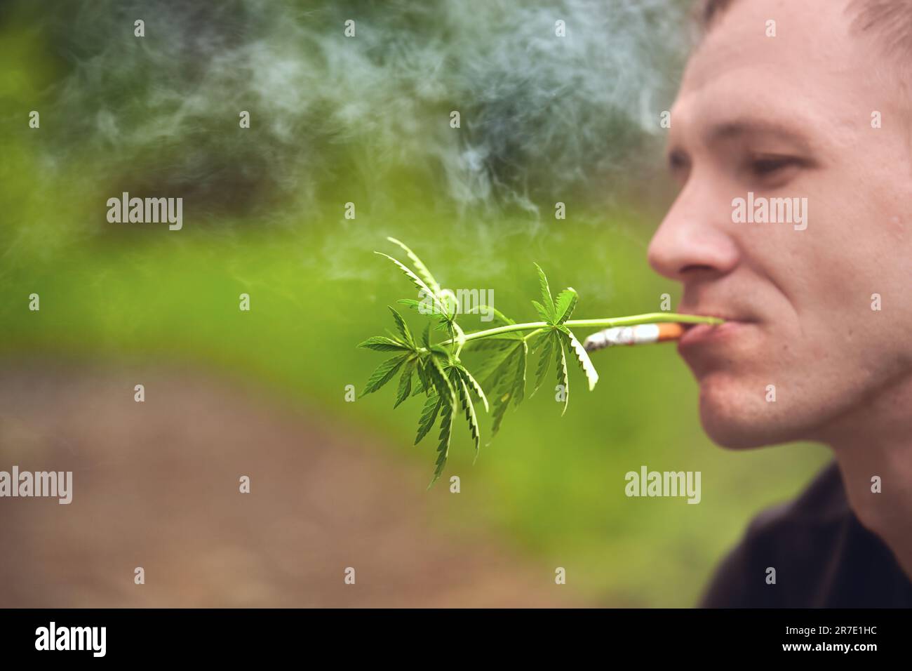 Chanvre et cigarette. Légalisez la marijuana avec une bouche humaine avec un joint ou une cigarette dans vos dents. Fumer de l'herbe. Consommation de drogues. Banque D'Images