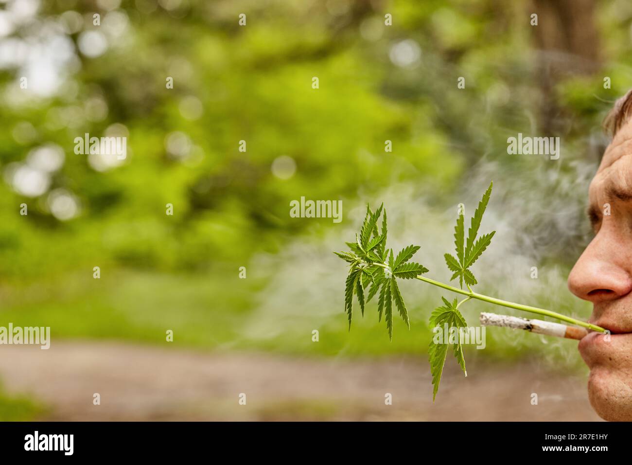 Chanvre et cigarette. Légalisez la marijuana avec une bouche humaine avec un joint ou une cigarette dans vos dents. Fumer de l'herbe. Consommation de drogues. Banque D'Images